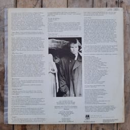 Sting - ...Nothing Like the Sun (Duplo) - Thumbnail 2