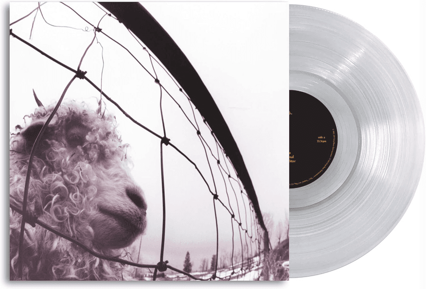 Pearl Jam - Vs. 30th Anniversary Clear Vinyl - Imagem 1