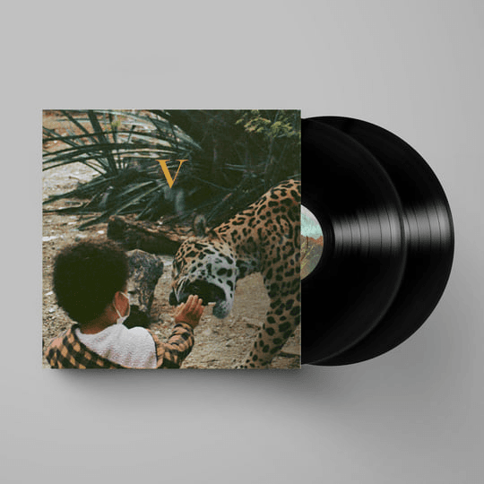 Unknown Mortal Orchestra - V (US 2023) - Imagem 1