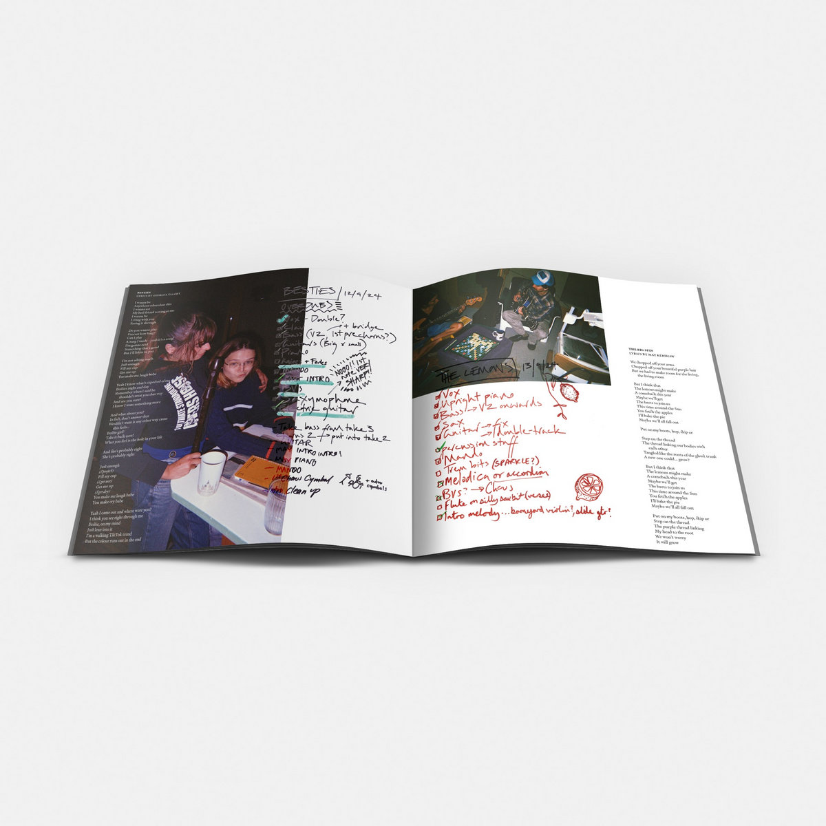 Black Country, New Road - Forever Howlong Exclusive Signed 2LP - Thumbnail 6