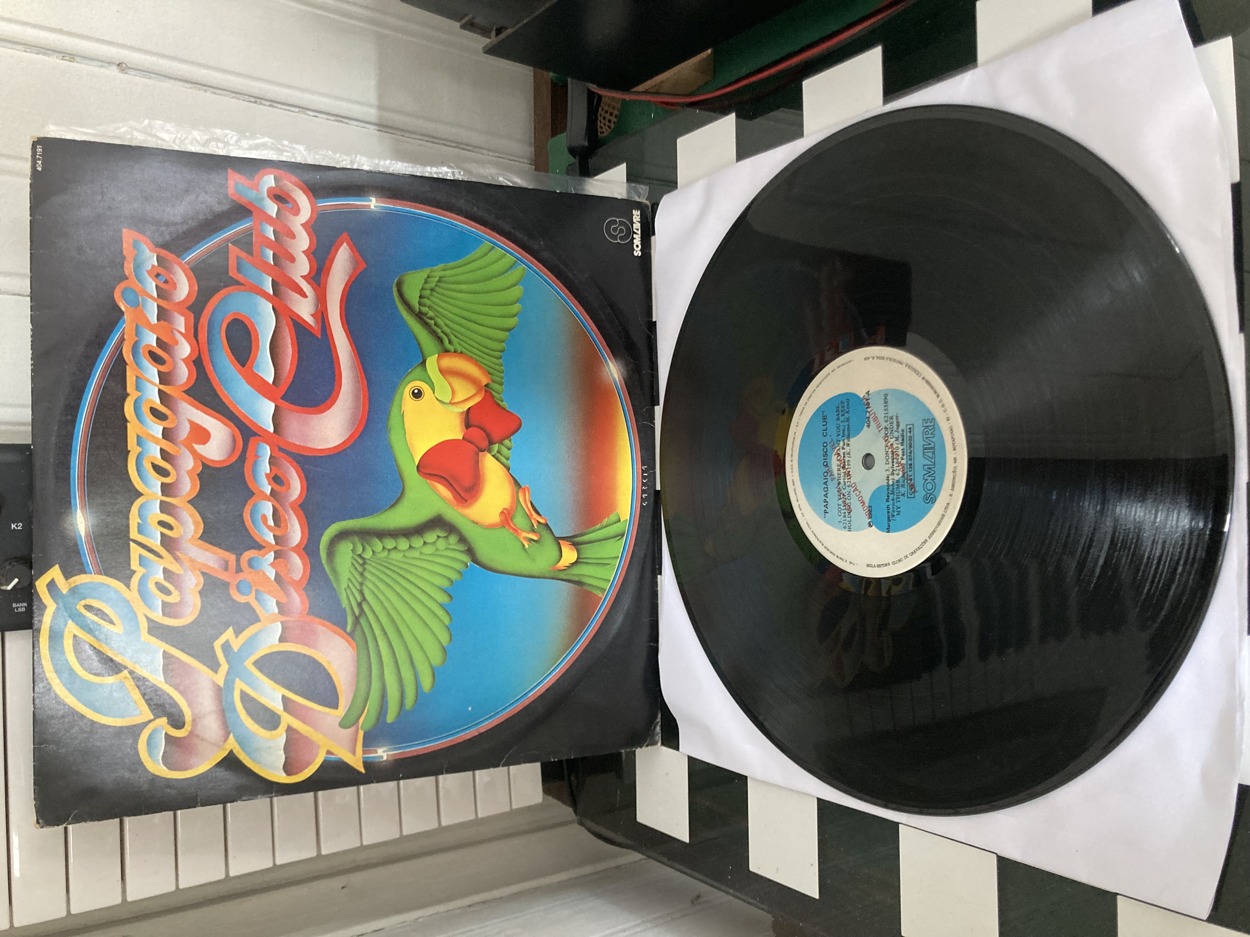 Papagaio Disco Club - Imagem 1