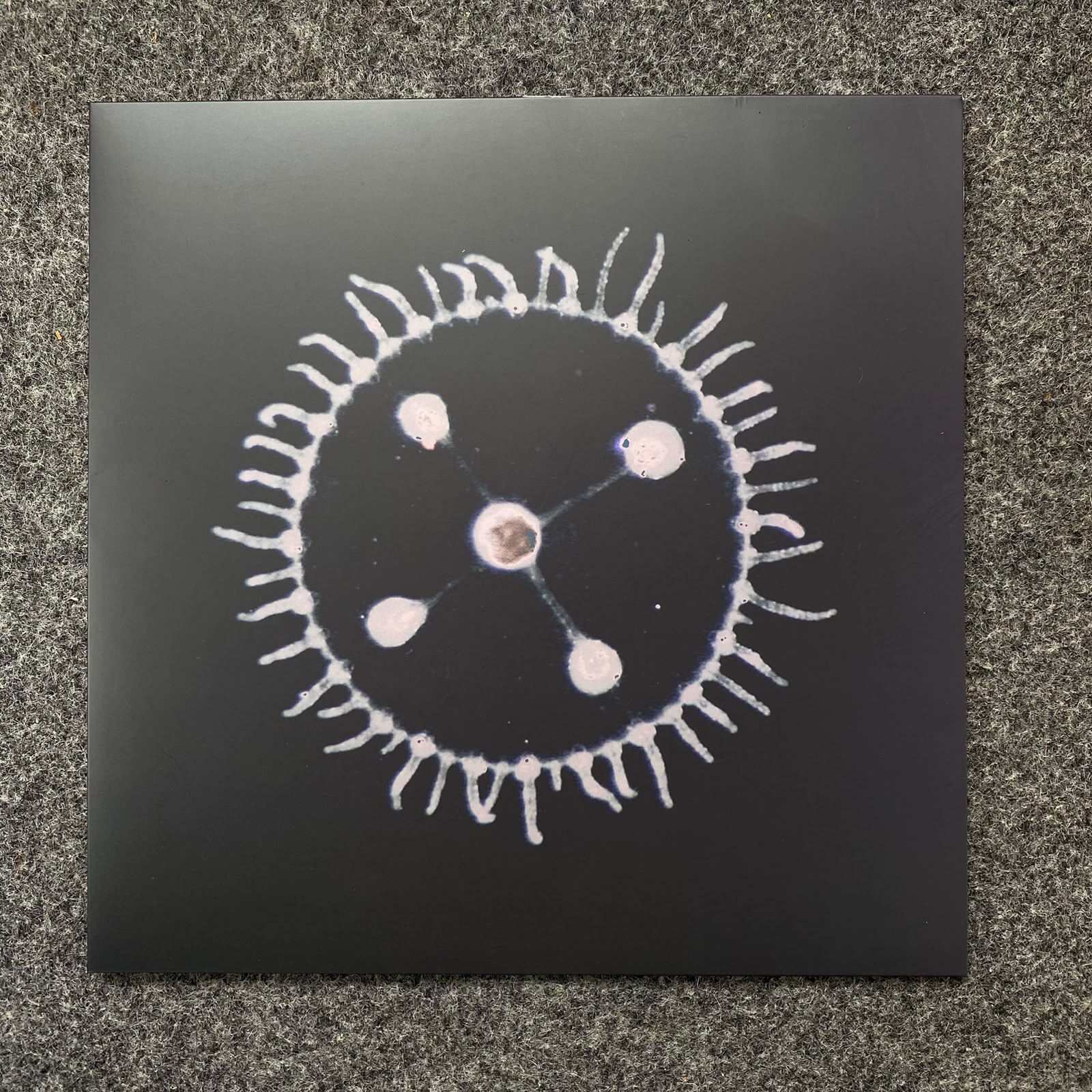 Luedji Luna - Um Mar Pra Cada Um (Noize, Vinil Azul) - Thumbnail 2