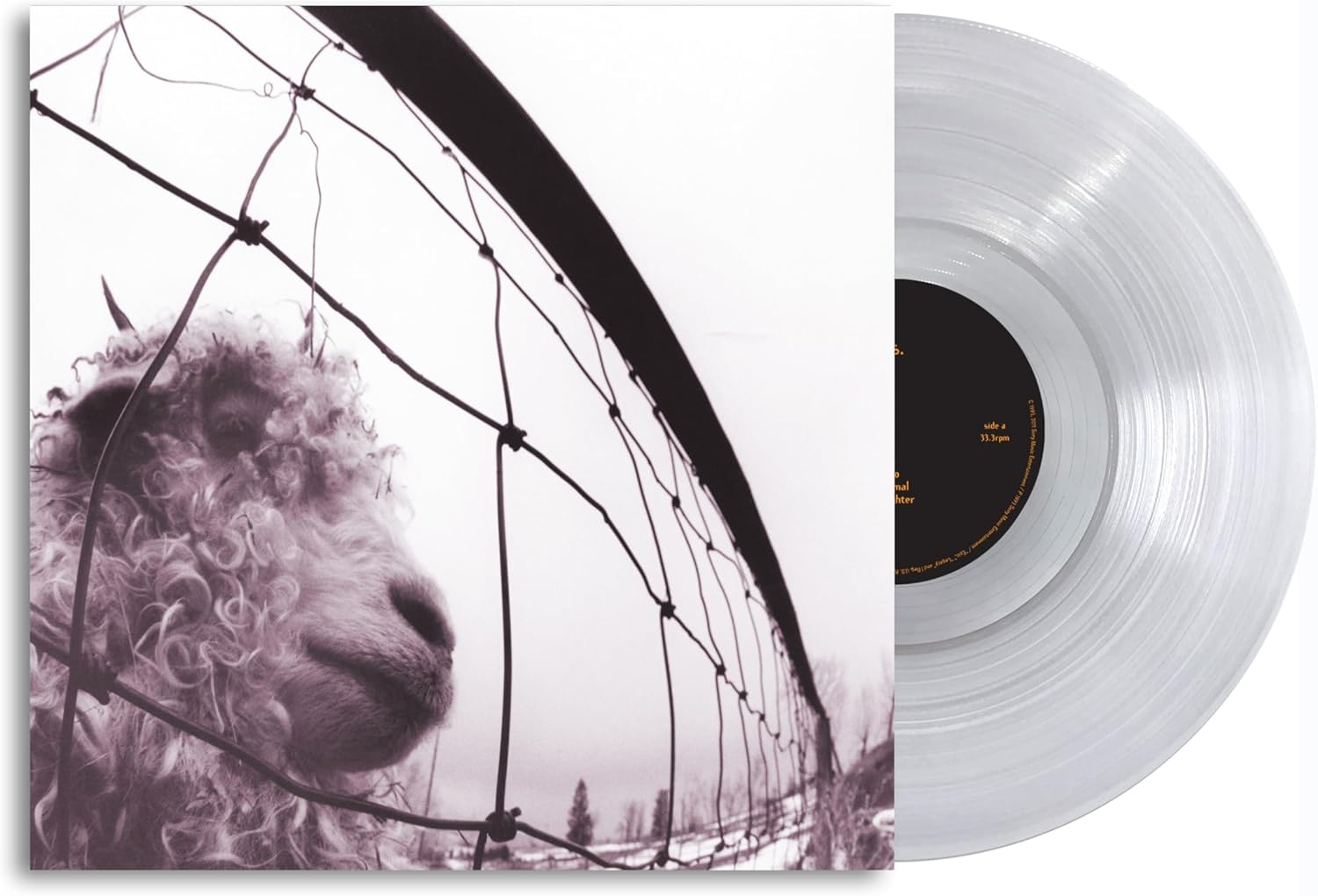 Pearl Jam - Vs. 30th Anniversary Clear Vinyl