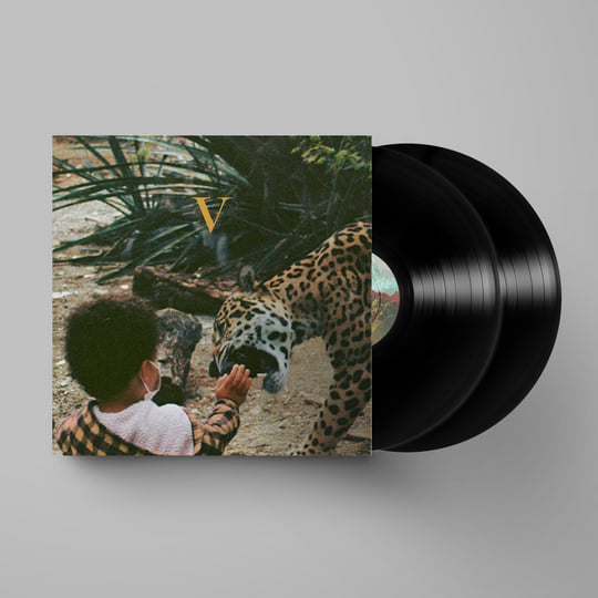 Unknown Mortal Orchestra - V (Duplo, Importado)